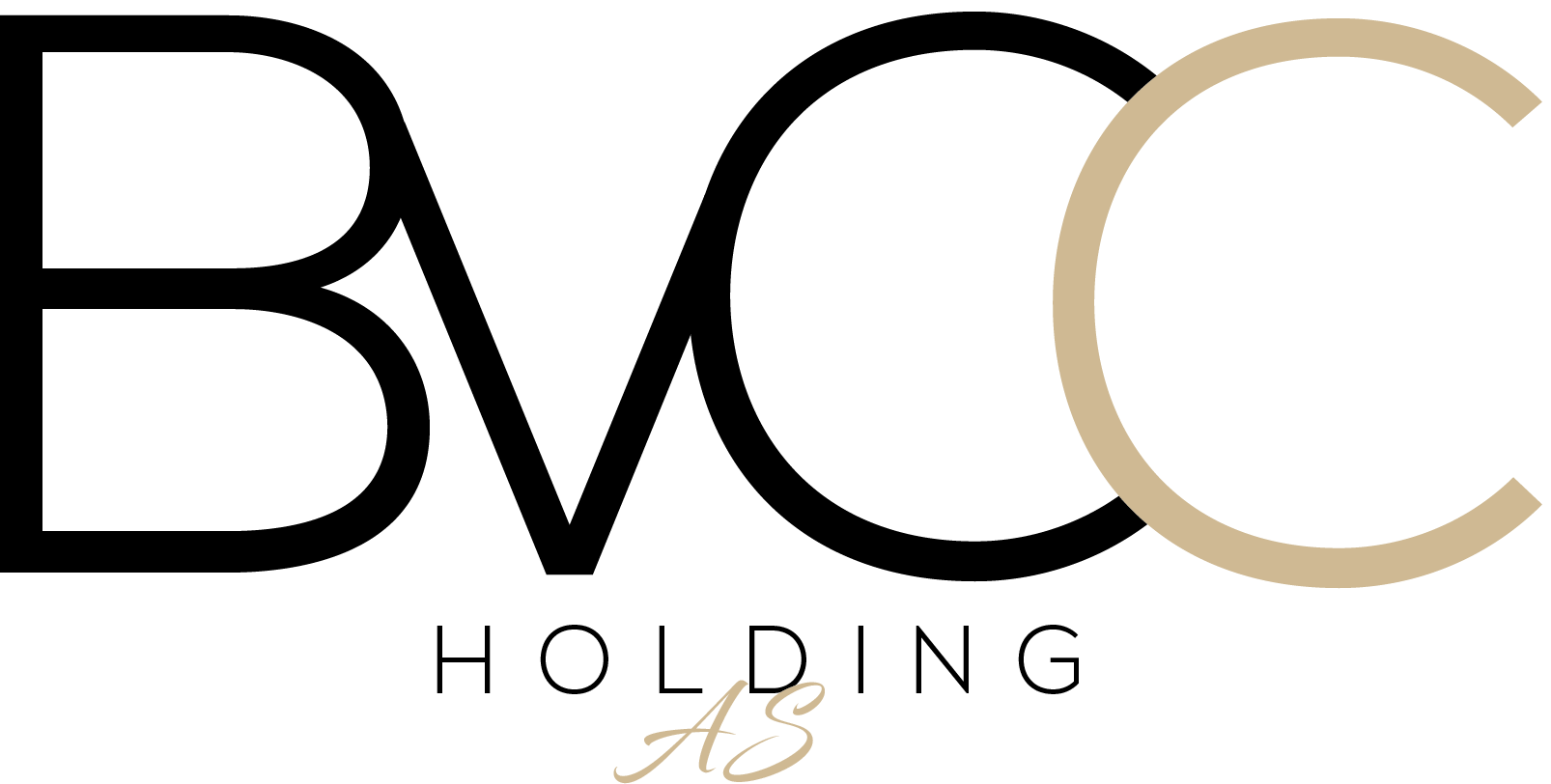 BVCC-Holding logo
